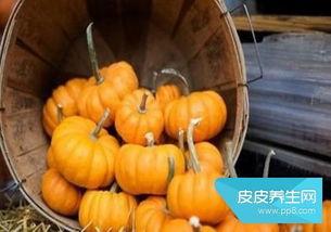 黑料吃瓜网apk普通安装 